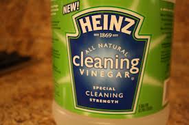 Cleaning Mold with Vinegar 