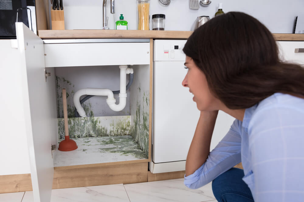 Common Causes of Mold in the Kitchen