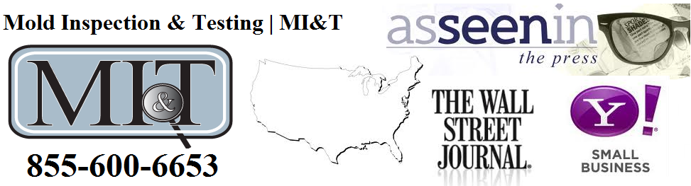 Abc News Mold Inspection Tips