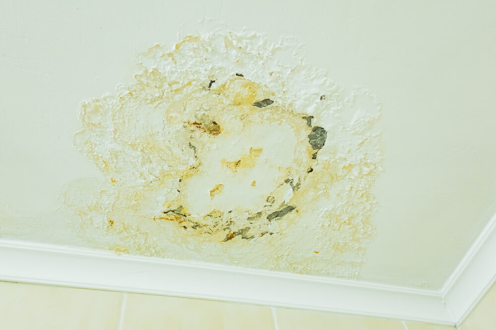 Mold Spots on Ceiling