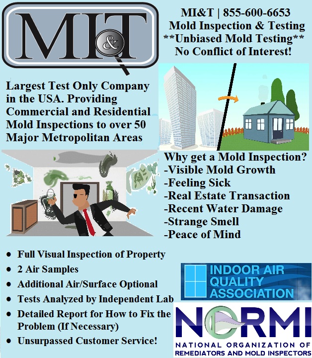 How much does mold testing cost