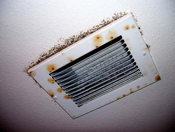 Mold on Vent