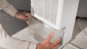 What Should You Know Before You Rent a Dehumidifier?