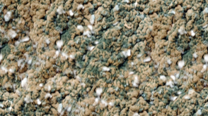 How to Get Rid of Moldy Carpeting Once and For All