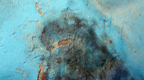 Mold Cleanup: How Do You Remediate a Mold Infestation in Your Home?