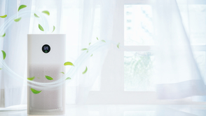 What’s the Best Air Purifier for to Improve the Air Quality and Freshness of Your Basement?