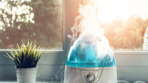 Can a Humidifier Help With Allergy Symptoms