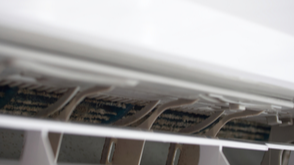 Common Molds That You May Be Allergic To