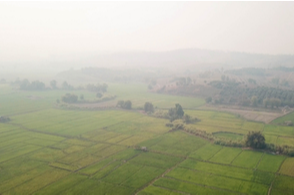 PM 2.5: What Is It and How Can You Minimize Your Exposure?