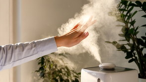 Should You Invest in a Humidifier For Your Home