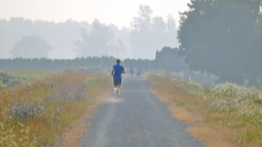 What Causes Poor Air Quality