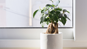 How Does Relative Humidity Affect Indoor Air Quality?