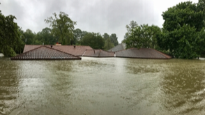 Should You Test Your Home for Mold After Flooding?