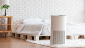 Air Purifier or Humidifier: Which One Should You Use?
