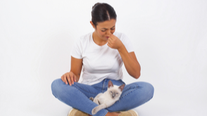 Can You Get Rid of Pet Odors with an Air Purifier?