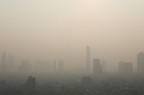 Allergy Capitals of the United States What Are the Worst Places to Live with Seasonal Allergies