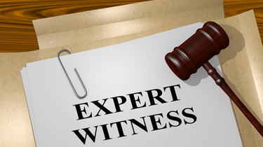 Expert Mold Witness