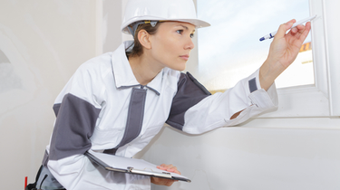 Free Mold Inspection