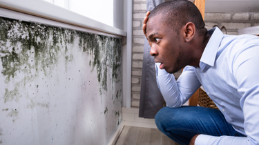 Landlord Won’t Fix Mold Problem