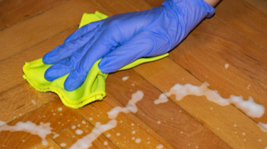 Cleaning Mold with Bleach