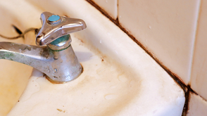 15 Common Places to Check for Mold Hiding in Your Home