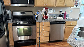 Mold in the Kitchen: Causes, Detection, and Prevention