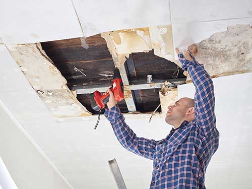 Ceiling Mold Growth: Causes, Remediation, and Prevention