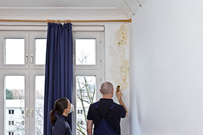 Bedroom Mold Growth and Odors; What You Need to Know