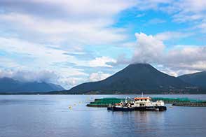 Boat Mold Growth: Causes, Remediation, and Prevention