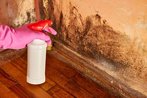 Laundry Room Mold Growth and Odor: Causes, Remediation, and Prevention