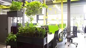 Mold Problems in Office Spaces: Causes, Inspection, Remediation, and Prevention