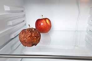 Refrigeration Unit Mold Problems: Causes, Remediation, and Prevention