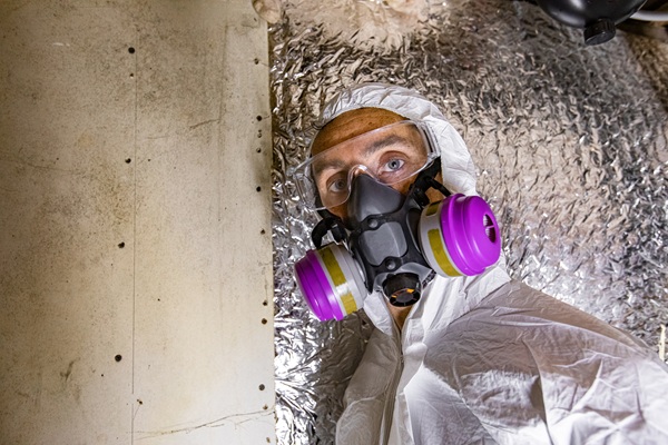 What to Expect During a Mold Inspection
