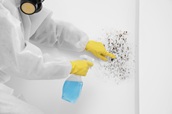 What Belongs in a Mold Remediation Protocol