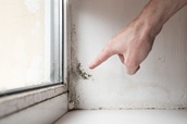 Mold in HVAC Systems: The Air Handler