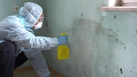 Mold Remediation Containment Explained