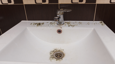 Mold in Bathroom