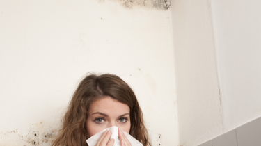 Mold Sickness