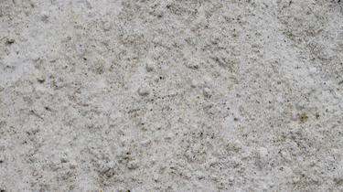 Other Mold Resources