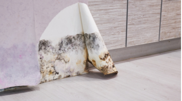 Sick Building Syndrome