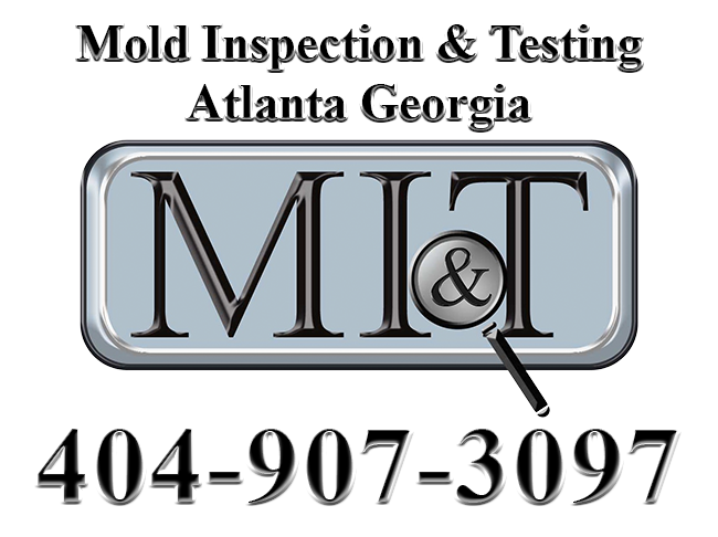 Atlanta mold inspector
