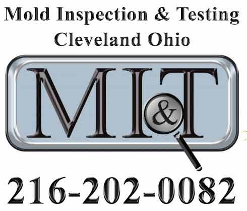 Mold Inspection Testing Cleveland Ohio Mold Inspection Testing