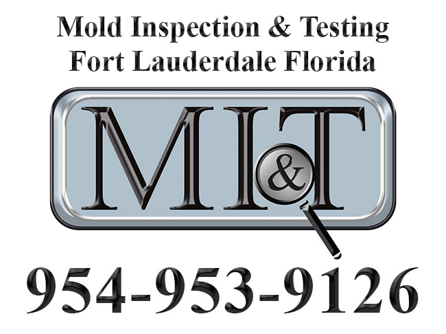 Mold inspection & testing Fort Lauderdale
