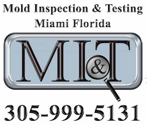 The 10 Best Mold Inspectors in Miami, FL (with Free Estimates)