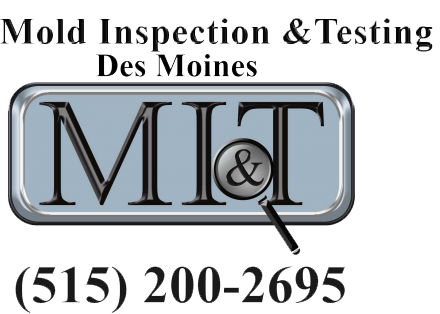 Mold inspection & testing Des Moines