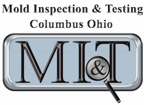 Mold Inspection & Testing Columbus