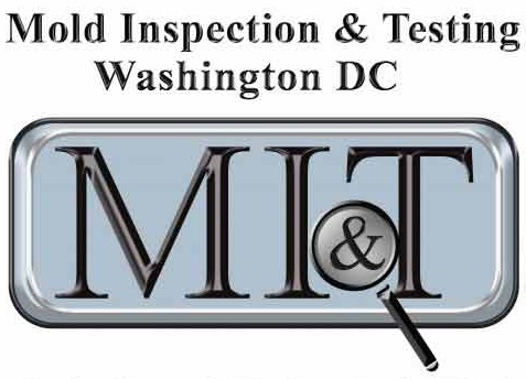 Mold Inspection & Testing Washington