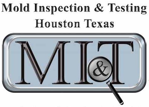 Mold Inspection & Testing Houston