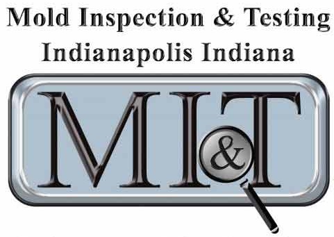 Mold Inspection & Testing Indianapolis