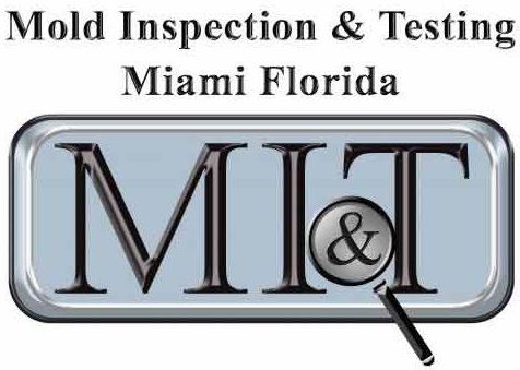 Mold Inspection & Testing Miami